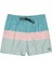 ALL DAY STRIPE LB Yeşil Erkek Deniz Şortu 7