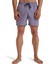 ALL DAY LB Lila Erkek Deniz Şortu 6