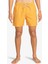 ALL DAY JAMV Sarı Erkek Deniz Şortu 8