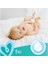 Pampers Baby Islak Havlu Fresh Clean 624 Yaprak 12 Paket Hassas Temizlik İçin 5