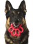 Orma Mini Köpek Oyuncağı Sarı 3