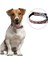 Buffer® Yumuşak Dokulu Deri Köpek Gezdirme Boyun Tasması Medium 1
