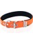 Doggie Konfor Dokuma Boyun Tasması Turuncu 2.5*37-45 cm (DSBT-2510 M) 1