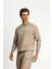 Bisiklet Yaka Regular Fit Sweatshirt 7