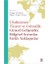 Uluslararası Ticaret ve Güvenlik: Güncel Gelişmeler, Bölgesel Sorunlar, Farklı Yaklaşımlar 1