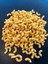 Katkısız Taze Makarna Pipette 160 gr x 6 Porsiyon (960 Gr) 1