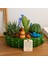 Hartopia-El Yapımı Dekoratif Sukulent & Kaktüs Aranjmanı – Minyatür Bahçe Tasarımı 8