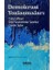 Demokrasi Yozlaşmaları 1