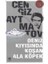 Deniz Kıyısında Koşan Ala Köpek 1