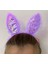 Mor Dantelli Pullu Işıklı Tavşan Kulak Taç 1