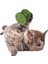 Buffer® Mini Silindir Eğlenceli Renkli Sağlam Küçük Pati Izi Şekilli Kedi Oyuncağı 8