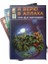 Rusça Dinimi Öğreniyorum Serisi (5 Kitap Takım) 1