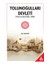 Tolunoğulları Devleti Siyasi ve Kültürel Tarih 1