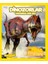 National Geographic Kids - Dinozorlar Hakkında Her Şey 1