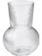 Şeffaf 17 cm Dekoratif Cam Vazo ve Karaf Seti Beyaz 1