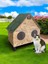 Kedi Evi Kedi Yuvası Su ve Isı Yalıtımlı Iki Bölmeli 2yetişkin Kedi Için 2