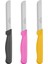 3'lü Çok Renkli Micro Et ve Sebze Doğrama Bıçağı Seti 3