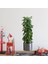 Bfs Saksılı Bitki Tasarımlı Yapışkanlı Sticker Resim 90*30 cm MC-665 1