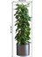 Bfs Saksılı Bitki Tasarımlı Yapışkanlı Sticker Resim 90*30 cm MC-665 4