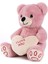 Bfs 4233 Oturan Ayı Pembe 3