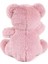 Bfs 4233 Oturan Ayı Pembe 4