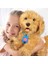 Bfs My Fuzzie Friends Sevimli Labrador Moji 18207 4