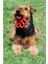 Orma Köpek Oyuncağı Sarı 1