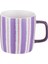 Çizgili 350 ml Mor New Bone Kupa, Şık ve Kullanışlı Içecek Kabı 6