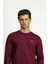 Bisiklet Yaka Regular Fit Nakışlı Pamuklu Sweatshirt 3