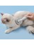 Apsino Kedi Tarağı | Kedi Tüy Toplama Tarağ (Yurt Dışından) 3