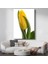 Sarı Lale - Çiy Damlalı Minimalist Çiçek Portresi Kanvas Tablo 1