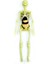 Bfs The Human Body Insan Vücudu 3D Eğitim Seti 3302 3