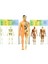 Bfs The Human Body Insan Vücudu 3D Eğitim Seti 3302 4