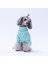 Mint Pooh's Ashdown Tigger Köpek Sweati Köpek Kıyafeti Kedi Kıyafeti 4