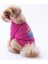 Fuşya Pooh's Ashdown Piglet Köpek Sweati Köpek Kıyafeti Kedi Kıyafeti 1