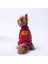 Bordo Pooh's Ashdown Winnie Köpek Sweati Köpek Kıyafeti Kedi Kıyafeti 1