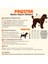 Bordo Pooh's Ashdown Winnie Köpek Sweati Köpek Kıyafeti Kedi Kıyafeti 2