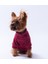 Bordo Pooh's Ashdown Winnie Köpek Sweati Köpek Kıyafeti Kedi Kıyafeti 3