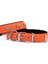 Doggie Konfor Dokuma Kemikli Boyun Tasması Turuncu 2.5*37-45 cm (DSBT-2562 M) 1