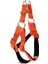 Doggie Konfor Dokuma Ronin Göğüs Tasması Turuncu 2.0*45-55 cm (Dsgt M) 1