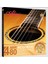 Alıce AWR480-XL 10-47 Extra Lıght 80/20 Bronze Akustik Gitar Teli 1