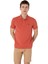 Erkek Regular Fit Polo Yaka Basic T-Shirt 2
