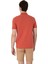 Erkek Regular Fit Polo Yaka Basic T-Shirt 5