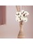 6lı Beyaz Pamuk Dalı Doğal Görünümlü Uzun Ömürlü Dekoratif Set 6