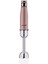 Rosagold Duo Blender Seti A448-01, Şık ve Kullanışlı Mutfak Gereci 1