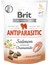 Wizard Brit Care 150 gr x 10 Adet Parazit Önlemek Için, Tahılsız, Somon Balıklı ve Papatyalı, Fonksiyonel Yetişkin Köpek Ödülü 1