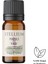 Paçuli Uçucu Yağı- %100 Saf ve Doğal-Patchouli Essential Oil -10 ml 2