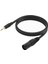 3,5 mm - Xlr Kablo Adaptörü Dengeli 1/8 Inç Mini Jak Trs Stereo - 3 Pin Xlr Erkek Mikrofon Ses Kablosu 300 cm (Yurt Dışından) 1