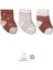 Bistyle 3'lü Penye Kız Soket Çorap 10112 Pudra 1