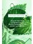 Yüz Peelingi-Karma,yağlı, Sivilce Eğilimli Cilt-Pure Menthe Arındırıcı Botanik Kompleks 75ML 6